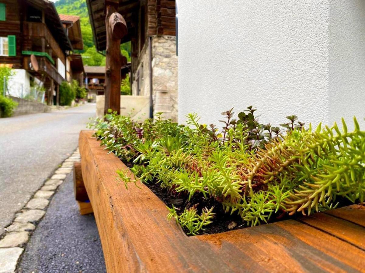 Beim Brunnen Gsteigwiler Exterior foto